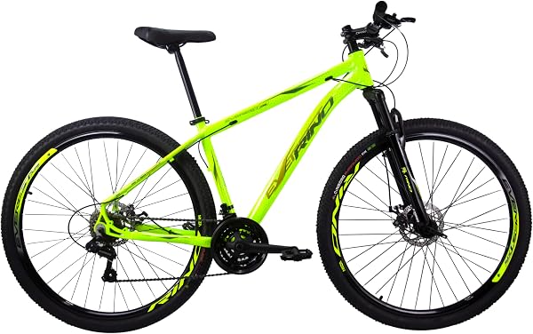 Bicicleta Aro 29 Rino Everest 24v - Freio a Disco, SHIMANO TZ, Rapid Fire, Aro Duplo, Cabeamento Interno