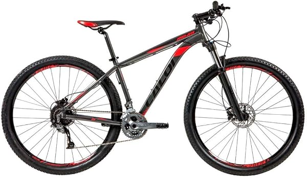 Bicicleta Mtb Caloi Moab Aro 29 - Quadro 21