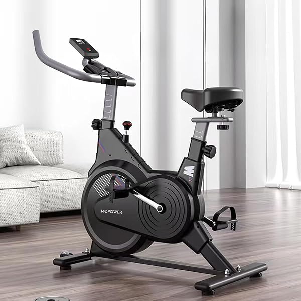 Polimet Bicicleta Ergométrica com Monitor LCDD Z-006 com Resistência Magnética (Preto)